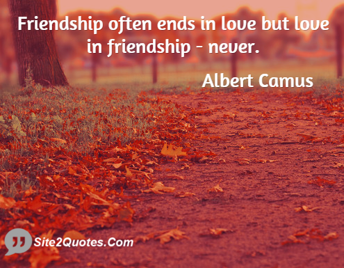 Friendship Often Ends in Love - Friendship Quotes - Albert Camus
