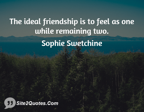 The Ideal Friendship is to Feel as One - Friendship Quotes - Sophie Swetchine