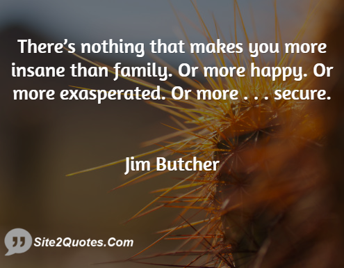 Family Quotes - Jim Butcher