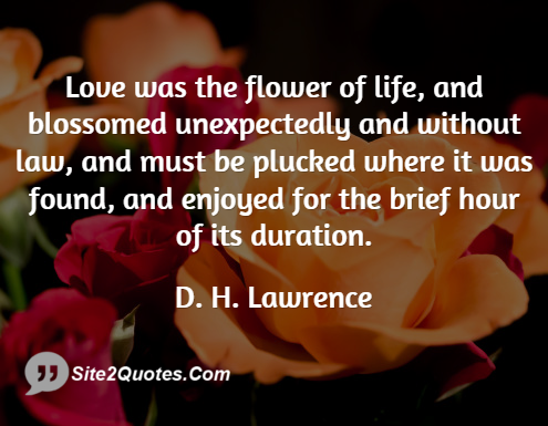 Love Was the Flower of Life - Love Quotes - D. H. Lawrence