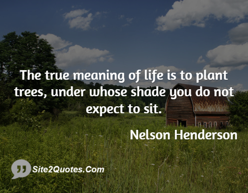 The True Meaning of Life is to Plant Trees - Life Quotes - Nelson Henderson