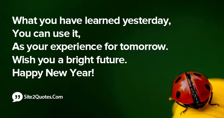 What You Have Learned Yesterday You Can Use It As Your Experience For Tomorrow.
